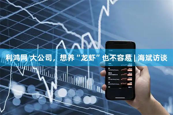 利鸿网 大公司，想养“龙虾”也不容易 | 海斌访谈