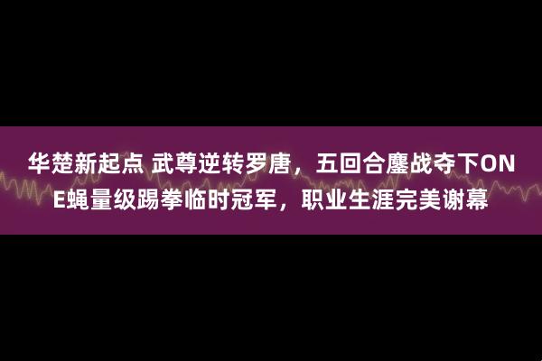华楚新起点 武尊逆转罗唐，五回合鏖战夺下ONE蝇量级踢拳临时冠军，职业生涯完美谢幕