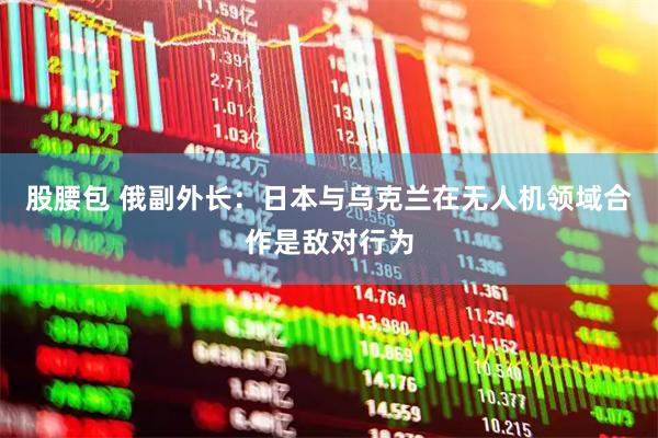 股腰包 俄副外长：日本与乌克兰在无人机领域合作是敌对行为