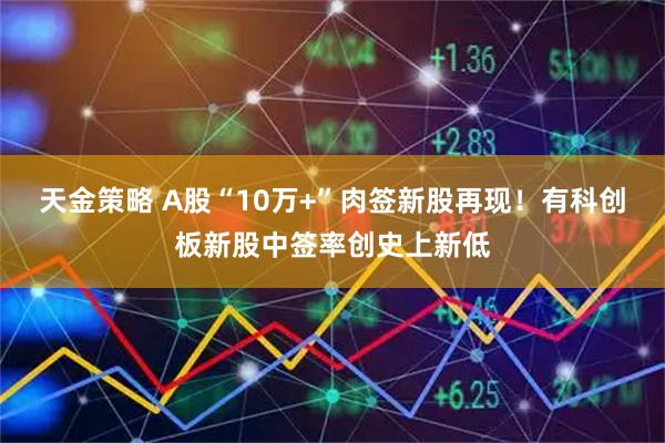 天金策略 A股“10万+”肉签新股再现！有科创板新股中签率创史上新低