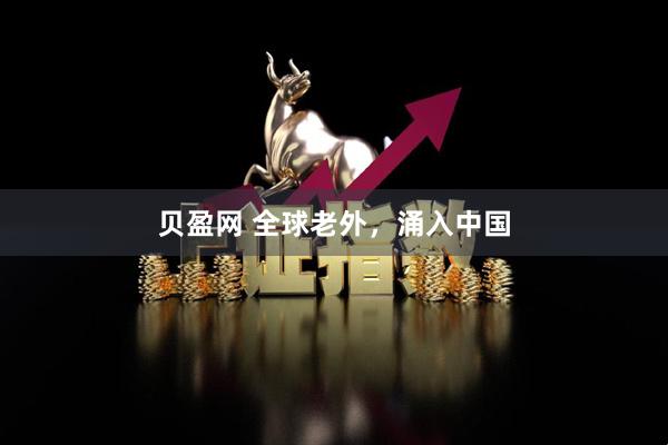 贝盈网 全球老外，涌入中国