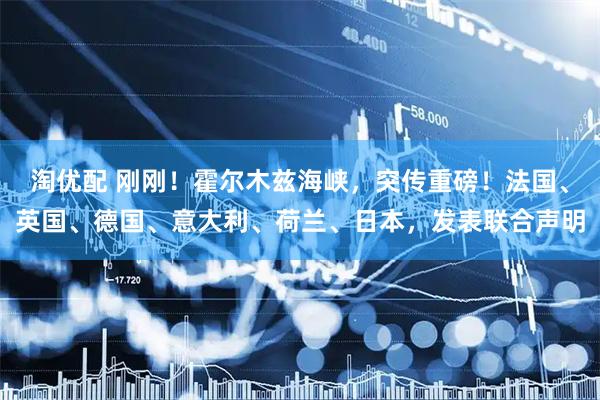 淘优配 刚刚！霍尔木兹海峡，突传重磅！法国、英国、德国、意大利、荷兰、日本，发表联合声明