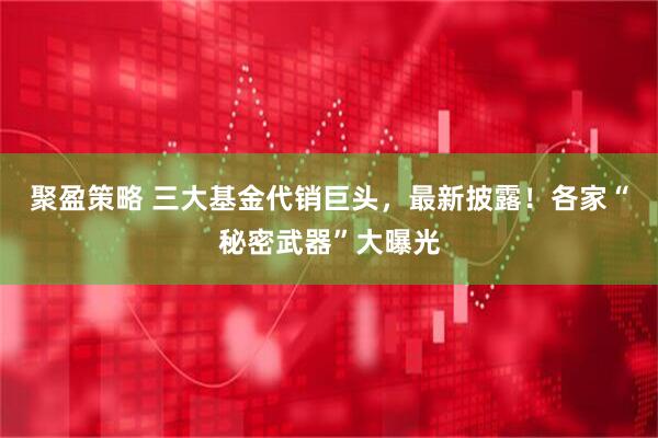 聚盈策略 三大基金代销巨头，最新披露！各家“秘密武器”大曝光