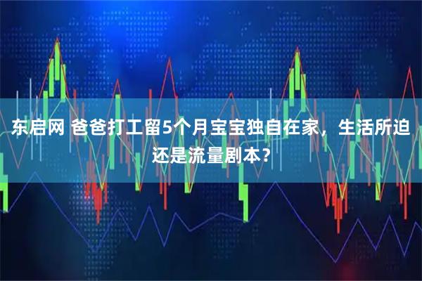 东启网 爸爸打工留5个月宝宝独自在家，生活所迫还是流量剧本？