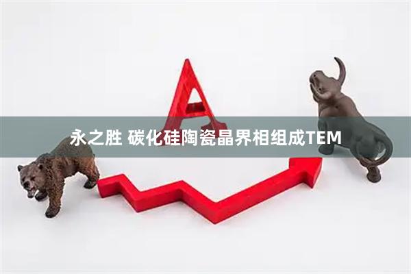 永之胜 碳化硅陶瓷晶界相组成TEM