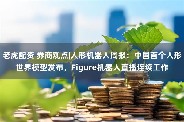 老虎配资 券商观点|人形机器人周报：中国首个人形世界模型发布，Figure机器人直播连续工作