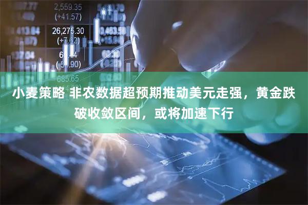 小麦策略 非农数据超预期推动美元走强，黄金跌破收敛区间，或将加速下行