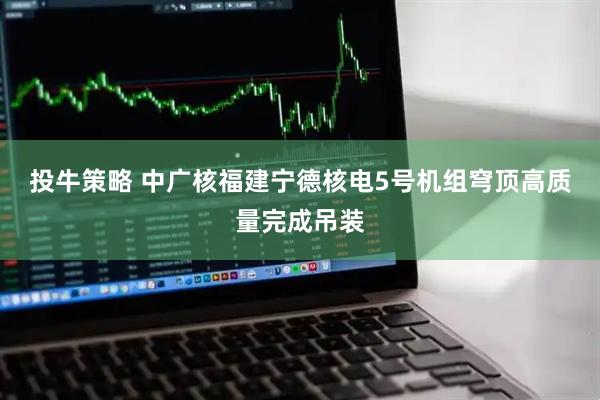 投牛策略 中广核福建宁德核电5号机组穹顶高质量完成吊装